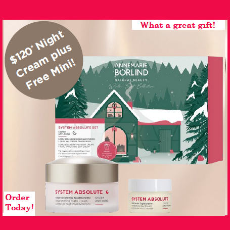 Annemarie Borlind Absolute Gift Set Annemarie Borlind Absolute Gift Set